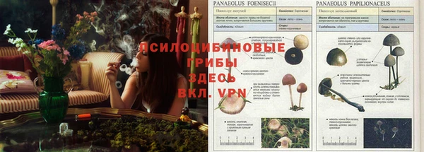 скорость Арсеньев