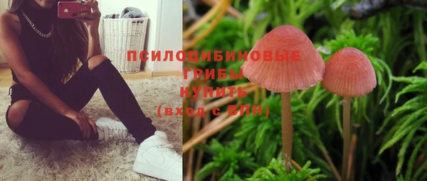 скорость Арсеньев